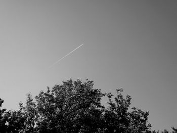 Low angle view of trees against sky