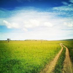 Road passing through field