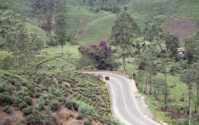 View of trees on landscape