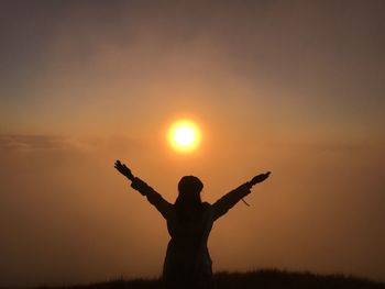 Silhouette of man holding tree against sky during sunset