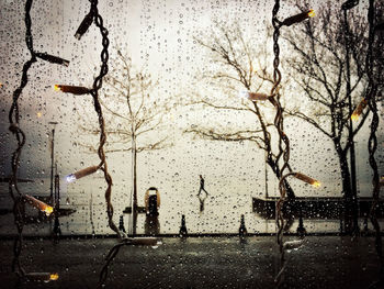 Bare tree on wet street in city during winter