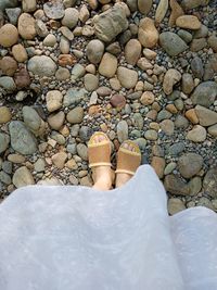 Low section of woman standing on beach