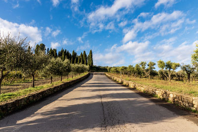 Empty road along trees and plants against sky