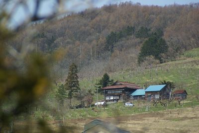 View of trees on landscape