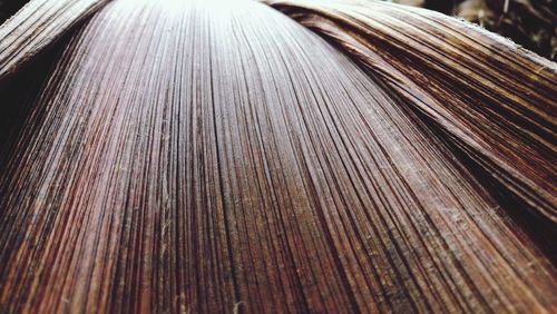 Detail shot of wooden surface