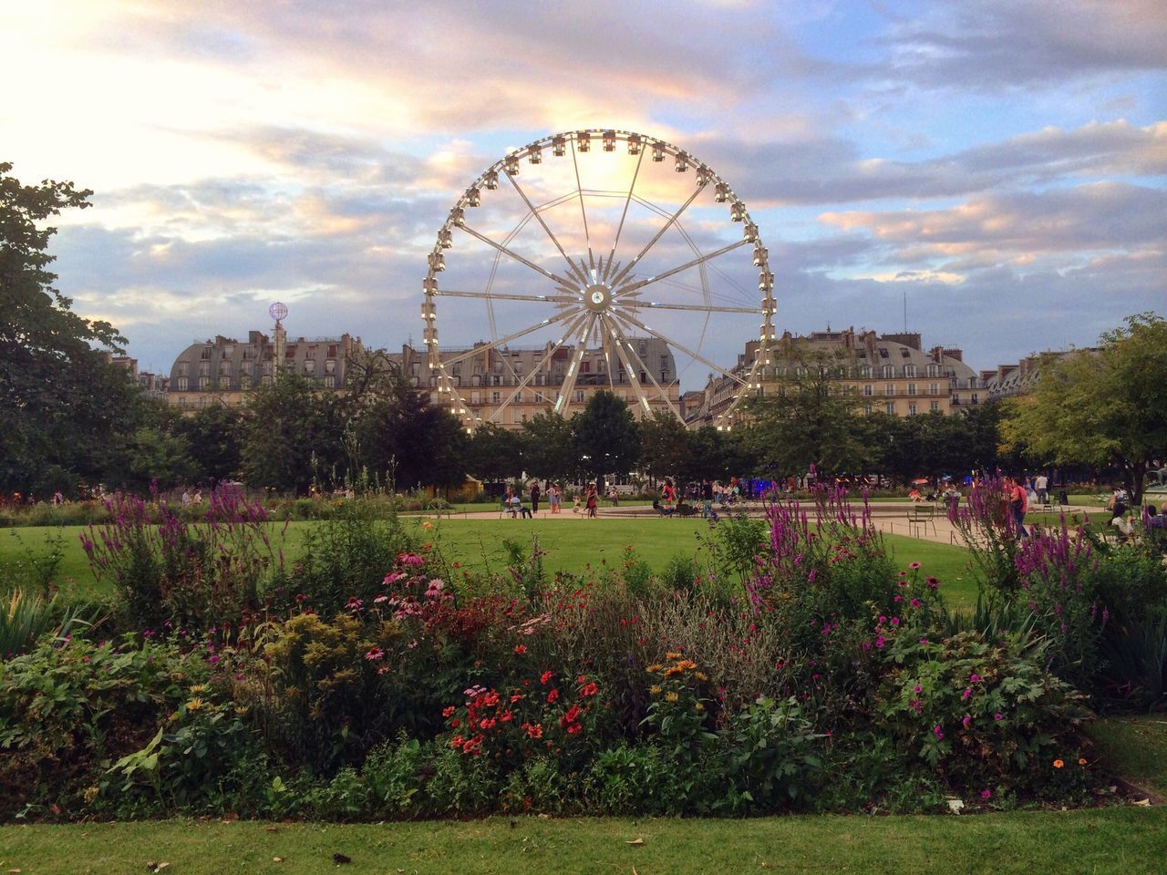 amusement park, ferris wheel, amusement park ride, arts culture and entertainment, sky, tree, grass, park - man made space, cloud - sky, leisure activity, flower, park, large group of people, fun, built structure, enjoyment, circle, architecture, field, cloud