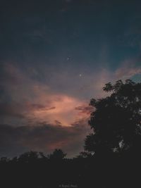 Low angle view of silhouette trees against sky at night