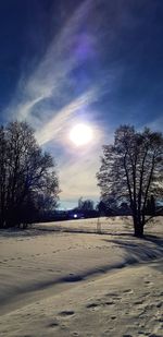 Trees on snow covered field against sky