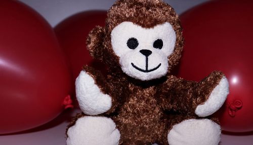 Close-up of stuffed toy against colored background