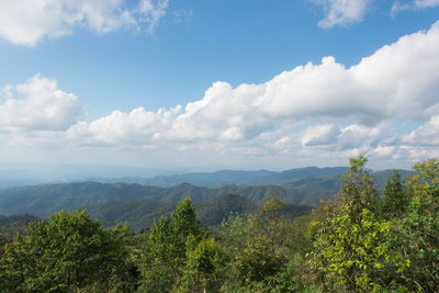 Scenic view of tree mountains against sky