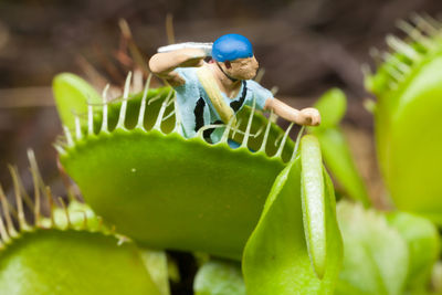 Close-up of figurine on plant