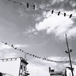 Low angle view of birds in city against sky