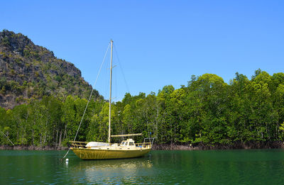 Boats sailing on river by trees against clear sky