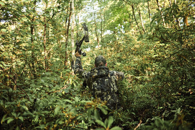 Plants in forest