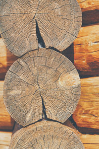 Close-up of tree stump in forest