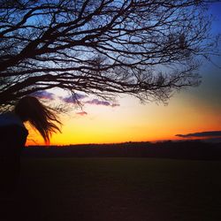 Silhouette of trees on field at sunset