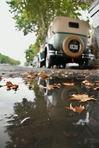 Reflection of trees on car during autumn