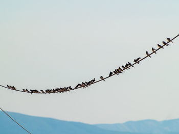 Low angle view of barbed wire against clear sky