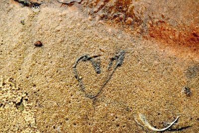 Close-up of sand on beach