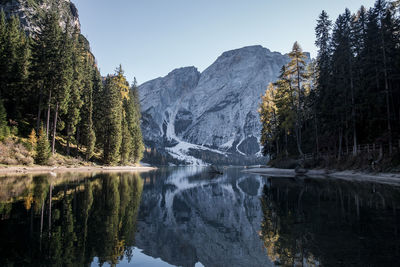 Scenic view of lake by trees against clear sky