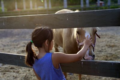 Rear view of girl petting horse in ranch