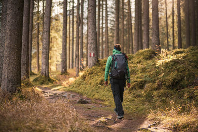 Rear view of man walking in forest