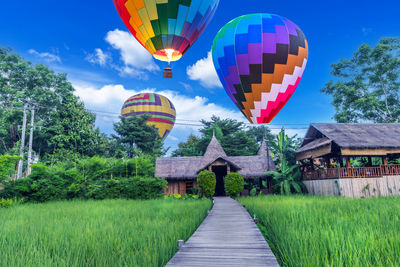 Wooden walkway and balloons with green rice fields in vang vieng, laos
