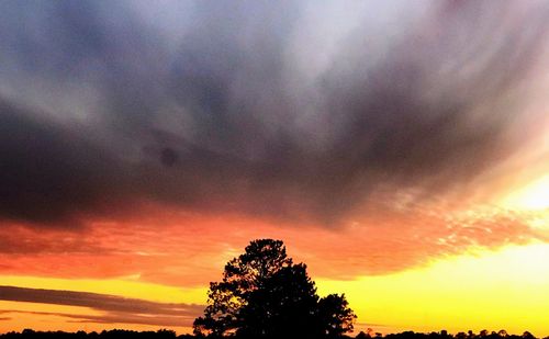 Low angle view of silhouette trees against dramatic sky
