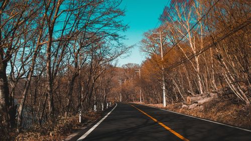 Empty road amidst trees in forest