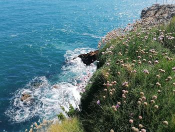 High angle view of sea and rocks at beach