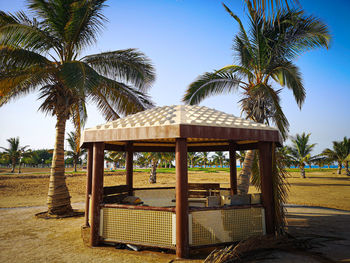 Palm trees on beach against clear sky