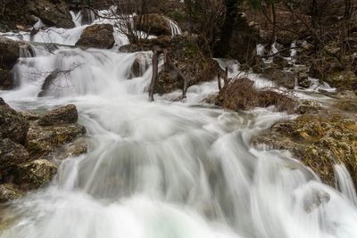 Scenic view of waterfall in forest