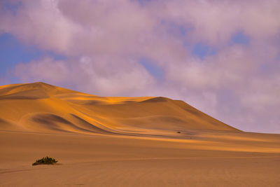Strokes of deep orange sand, namib desert