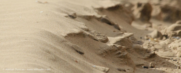 View of sandy beach