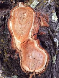 Close-up of rock formations