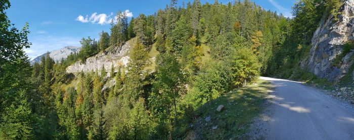 Panoramic view of road amidst trees in forest against sky