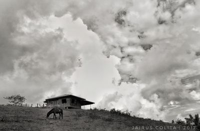 Panoramic view of horse on field against sky