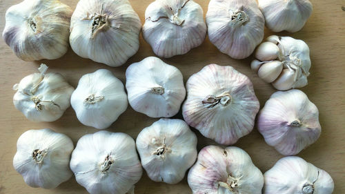 High angle view of white garlic