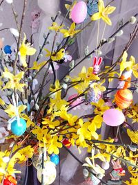 Close-up of yellow flowers blooming in park