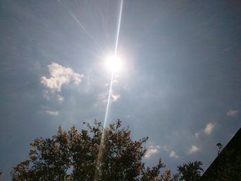 Low angle view of trees against sky