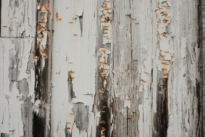 Full frame shot of weathered wall