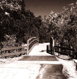 Footbridge by trees against sky