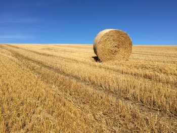 Hay bales on field against clear blue sky