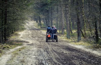 Rear view of people on vehicle on dirt road in forest