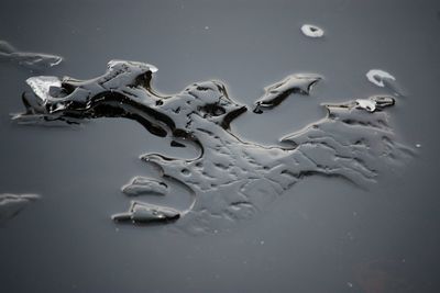 High angle view of snow on wet floor