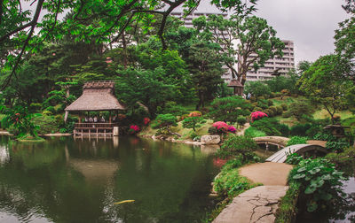 Japanese style beautiful park with a pond, flowers and walkways