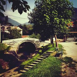 Bridge with trees in background
