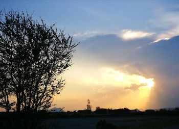 Silhouette trees on field against sky at sunset