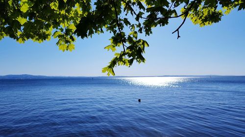 View of calm blue sea against clear sky