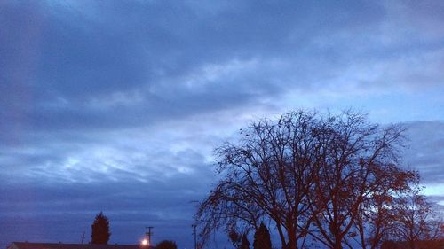 Low angle view of trees against sky